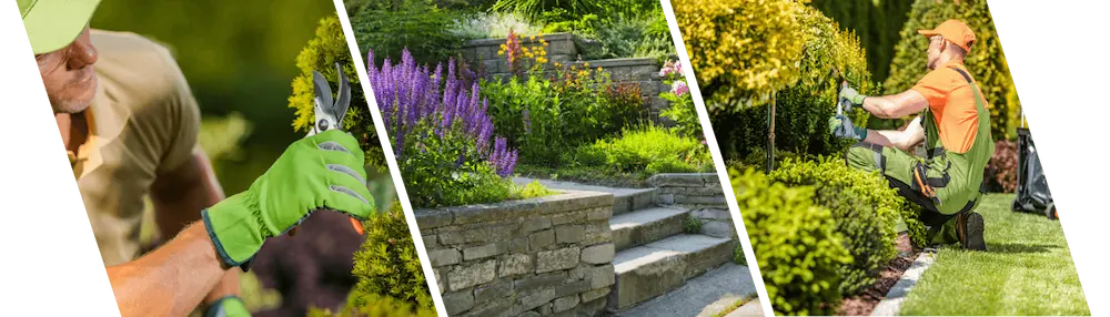 gallery image of landscaping services